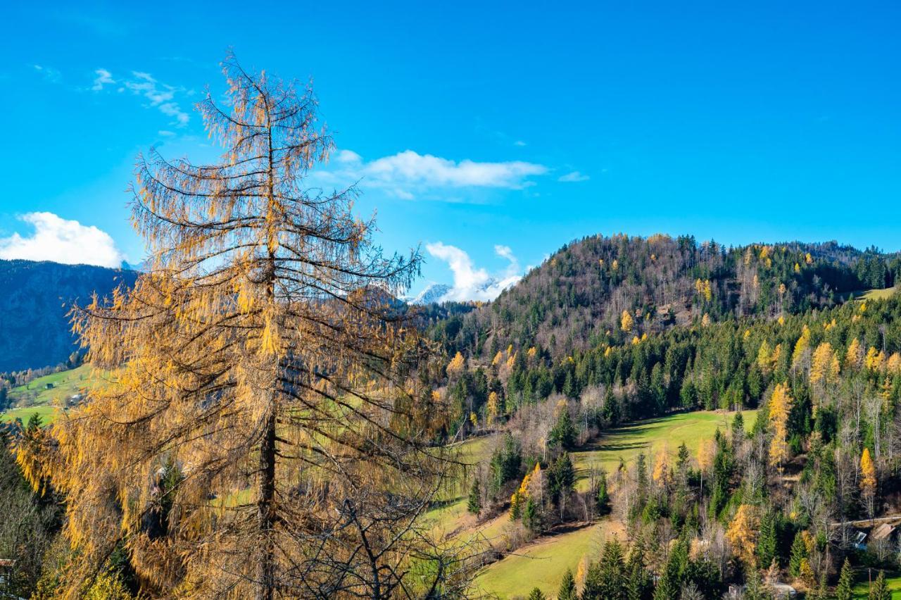 Apartments Farm House Uric Jesenice Dış mekan fotoğraf